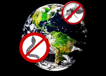 Only Country In World with Zero Snakes and Mosquitoes